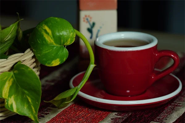Unlock Your Brain’s Potential: 5 Natural Supplements for Optimal Brain Health
